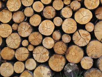 Stacked wooden logs showing natural rings and cracks.