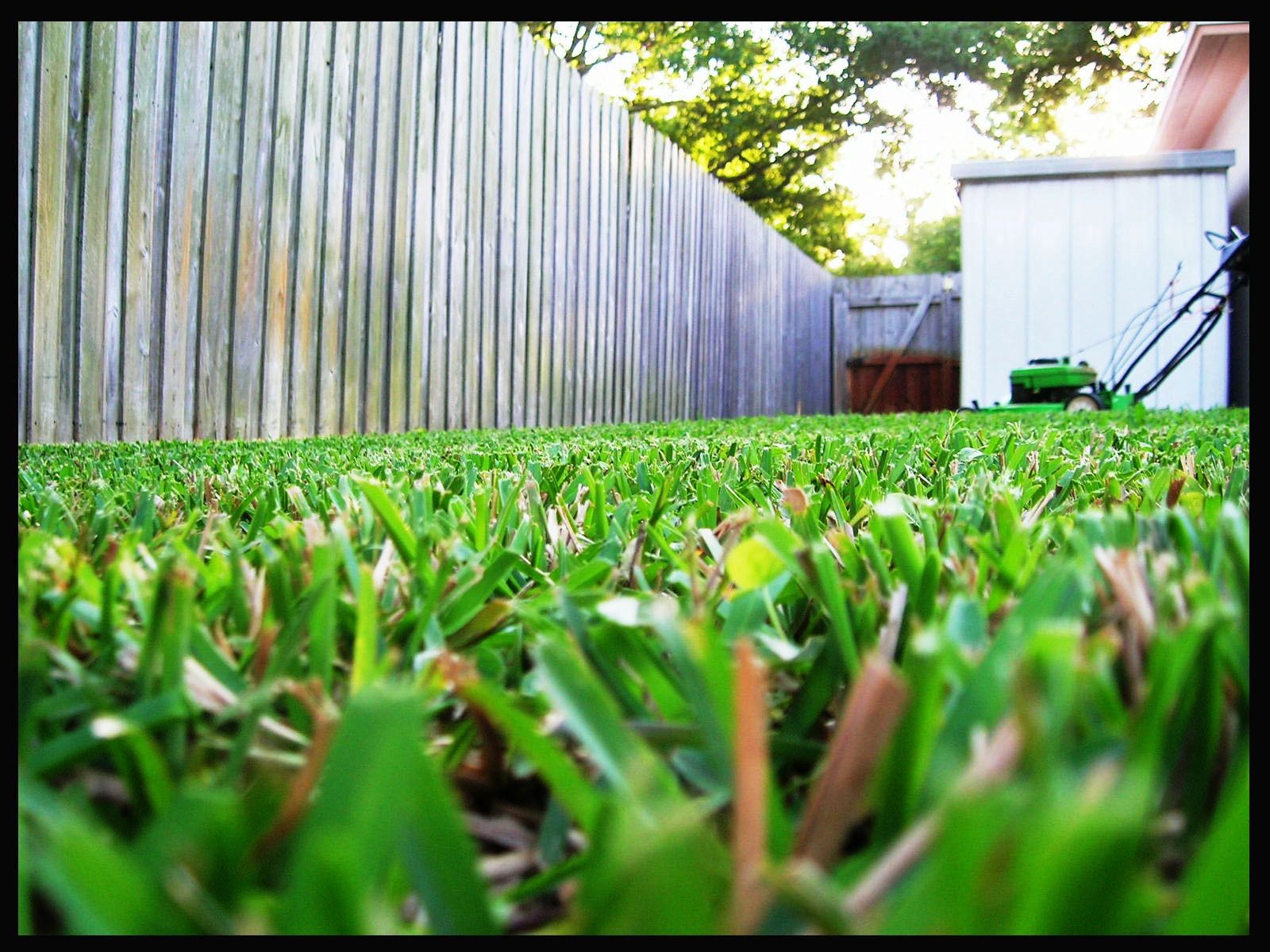 AVA Lawn Care Service