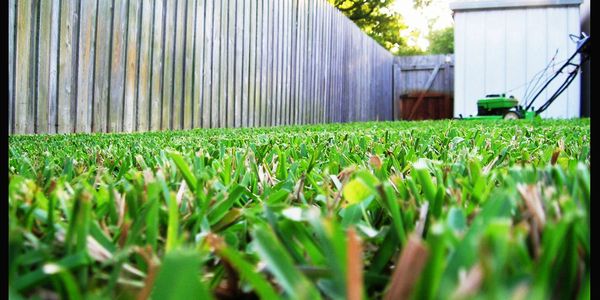 end of lease cleaning
Lawn Mowing, Carpet Cleaning, Pest Control, Bond Cleans Hervey Bay