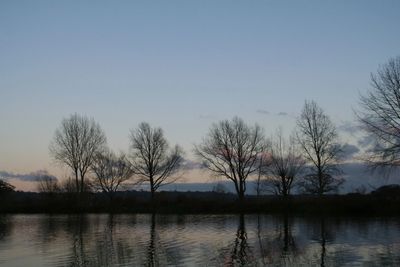 Silhouetted trees reflecting on calm water at dusk.