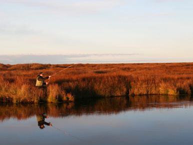 Dullstroom, Highlands Meander.