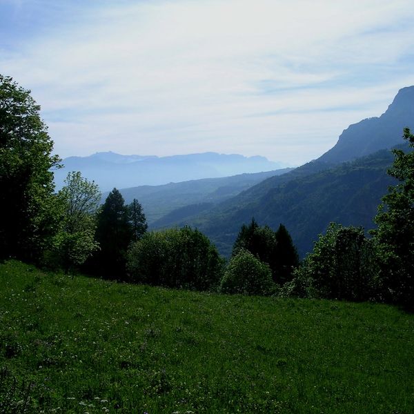 East Tennessee properties