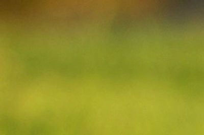 Fertilizing lawns in Central Illinois