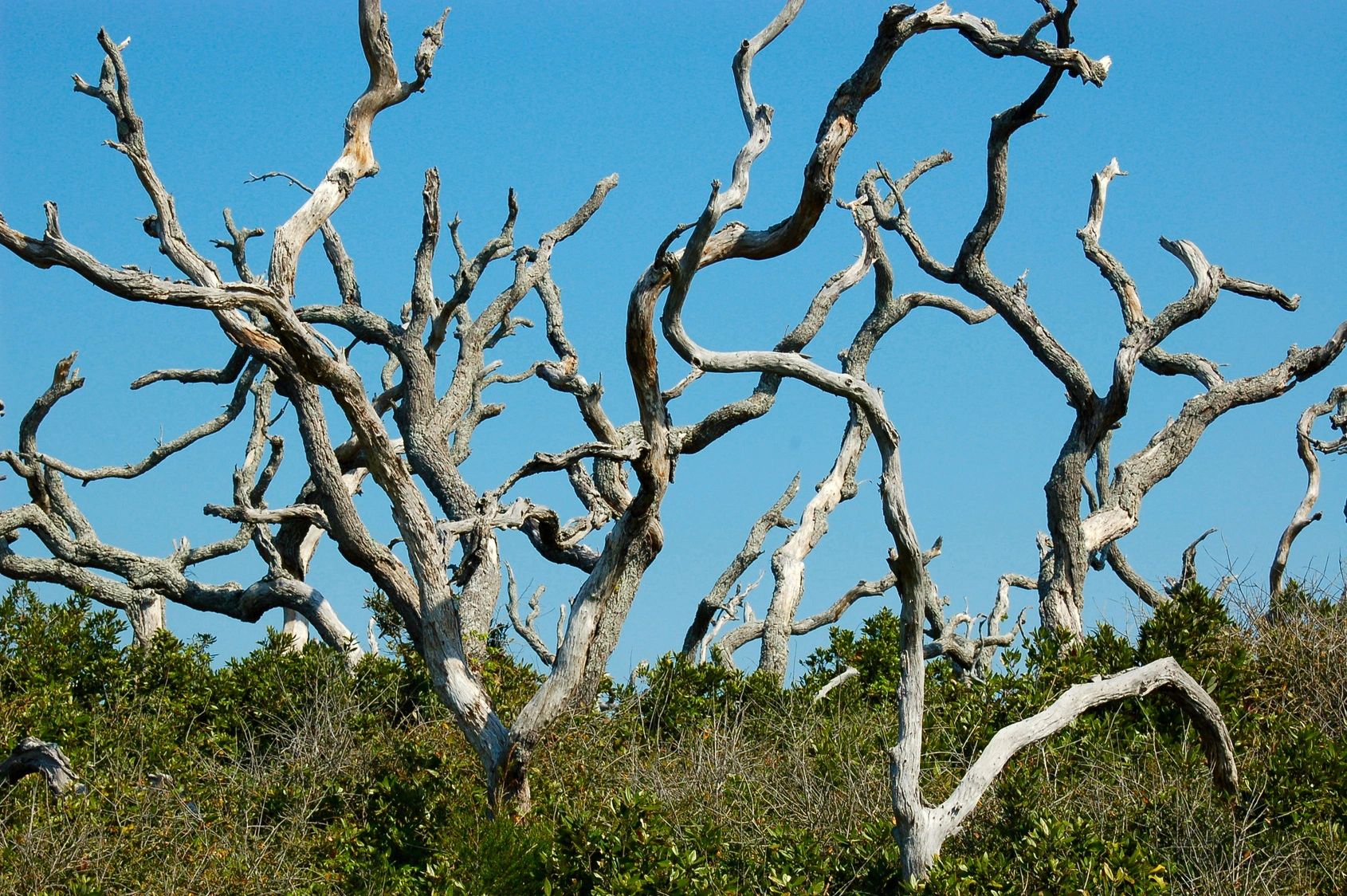 If You Want to Solve a Problem, Be Real About the Root Cause.