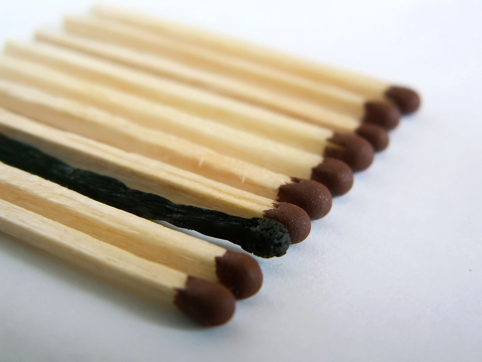 WHAT MAKES AND WHY IS HOW DIFFERENT ARE THEY visual data 6