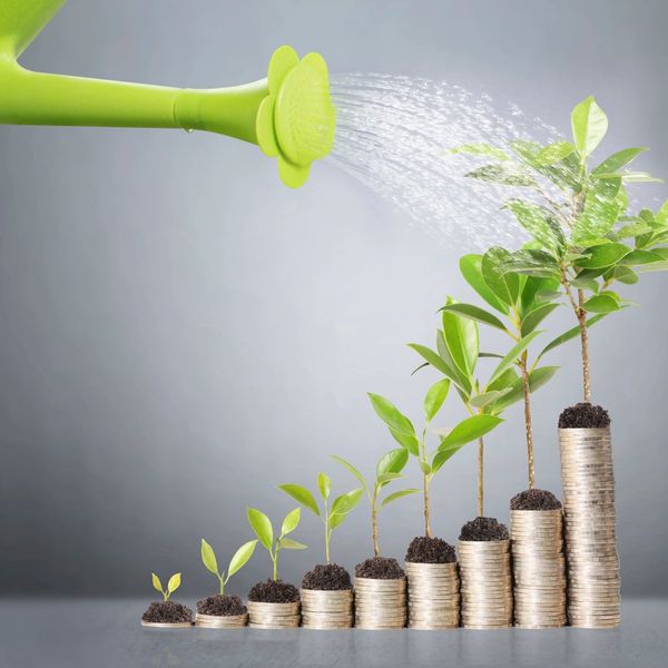 Watering plants growing on stacks of coins symbolizing financial growth.