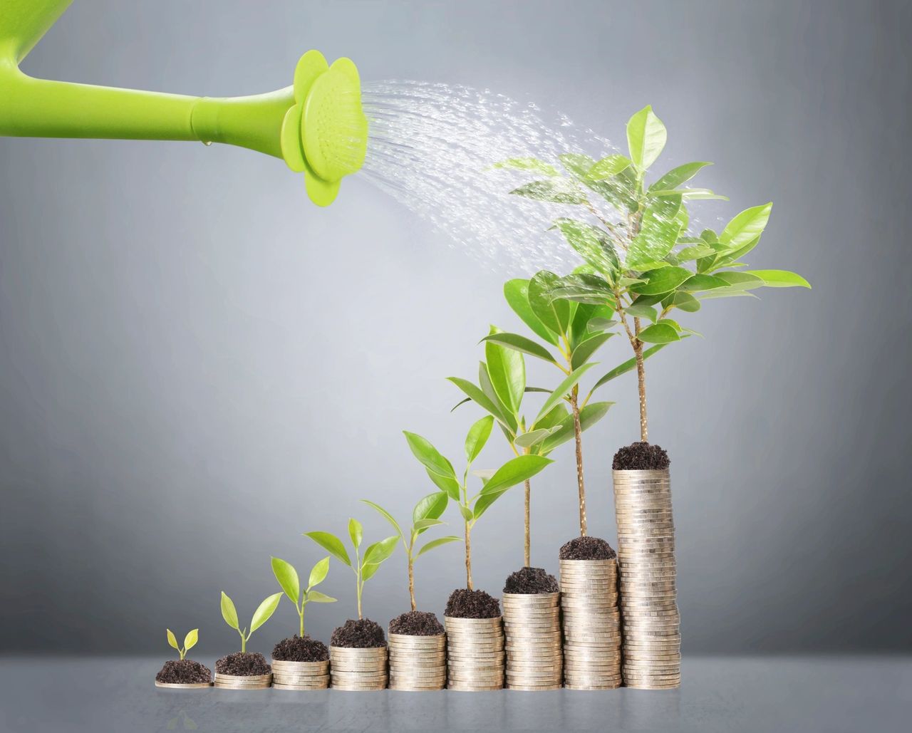 Plants that grow atop nine ascending stacks of silver coins, are being watered.