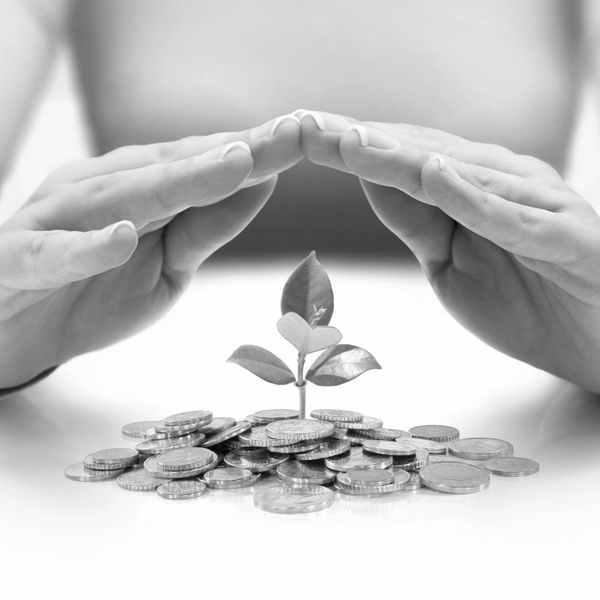 Protecting a growing social impact investment