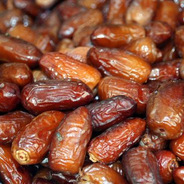 export exporter vertical supports trader dates dried dates Ramzan dry fruit fresh dates 