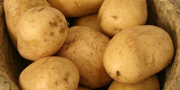 Prince Edward Island exporteert veel aardappels maar importeert momenteel veel nieuwe bewoners.