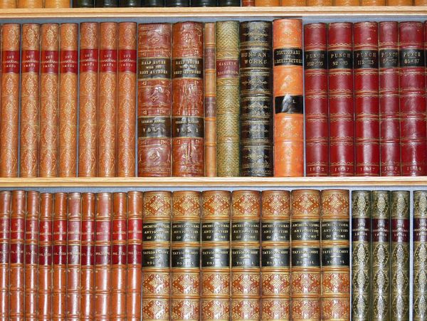 Rows of antique leather-bound books on wooden shelves.