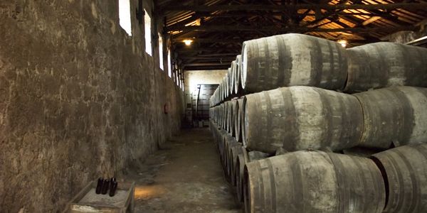 Closeup shot of a hall of wine dumps 