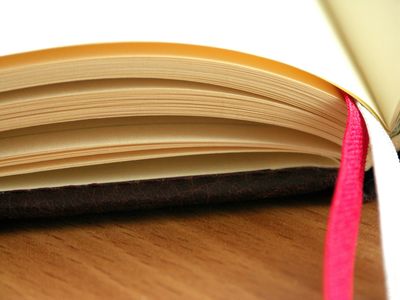 Color photo of open journal with blank pages and pink and white ribbons as bookmarks
