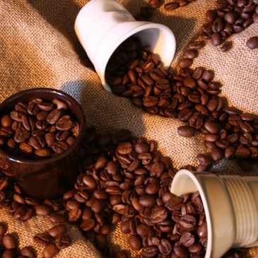 Ethically sourced coffee beans from Guatemala and Brazil