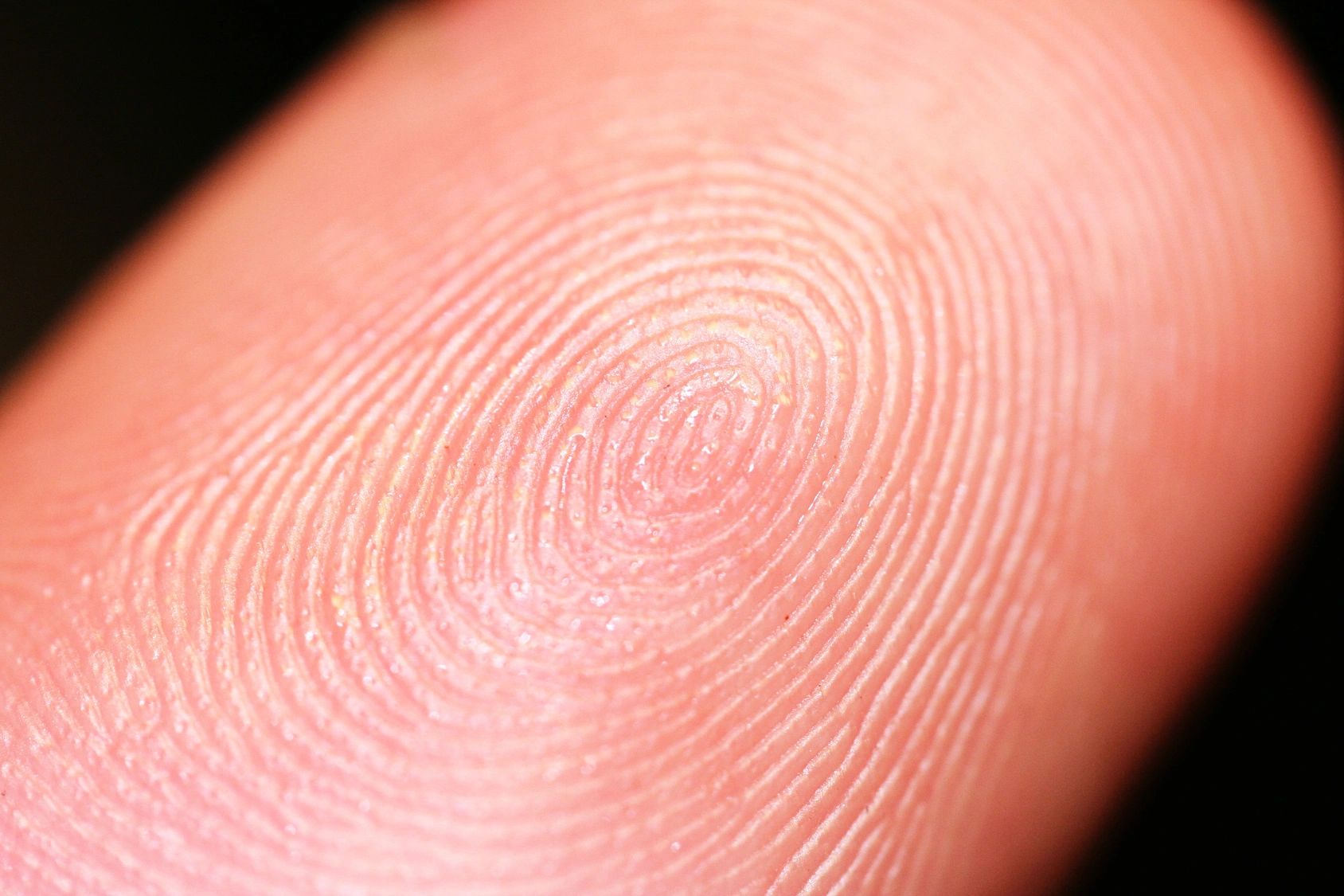 5 Common Misconceptions About Ink Fingerprinting