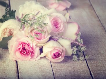 Fleurs séchées au détail ou en bouquets, compositions florales, suspensions florales