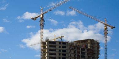 Laburnum Real Estate Richard Boyle