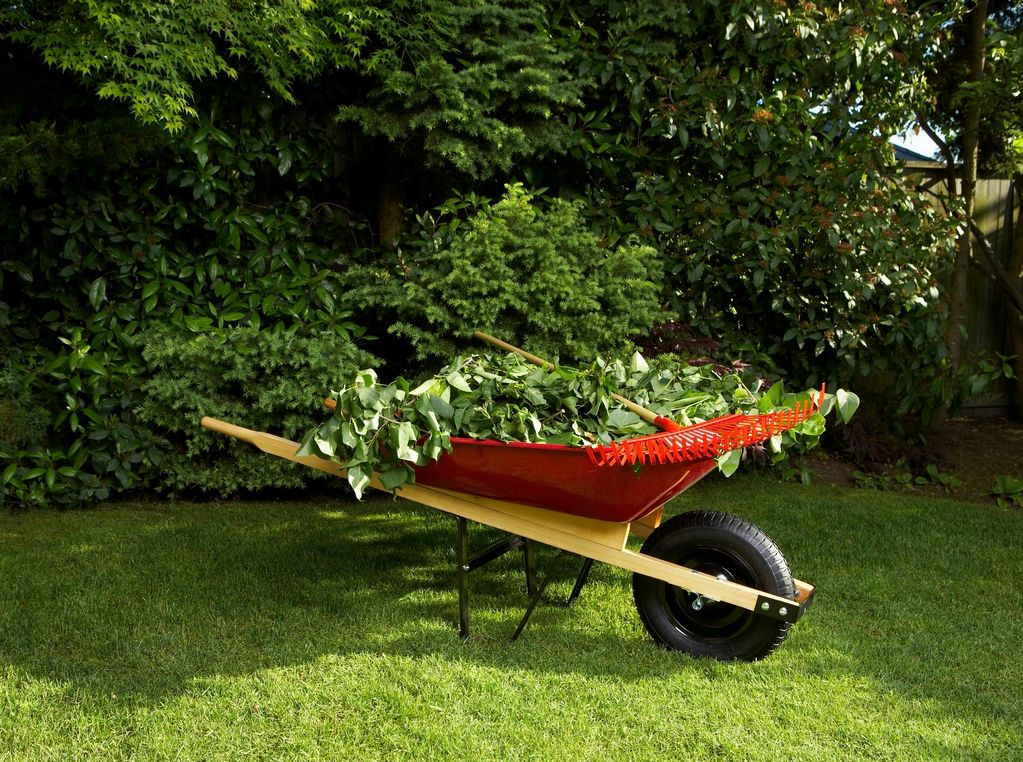 A wheelbarrow filled with green leaves and garden tools on grass.