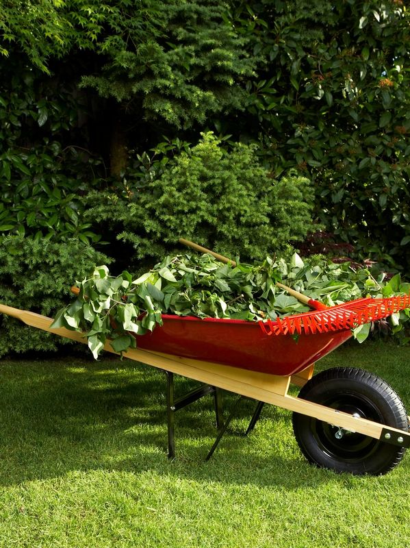 leaf clean up