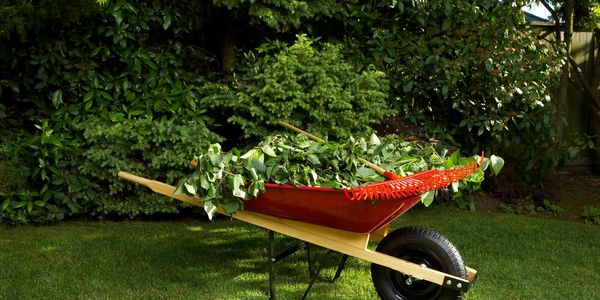 red wheel barrow full of brush in the middle of a the grass 