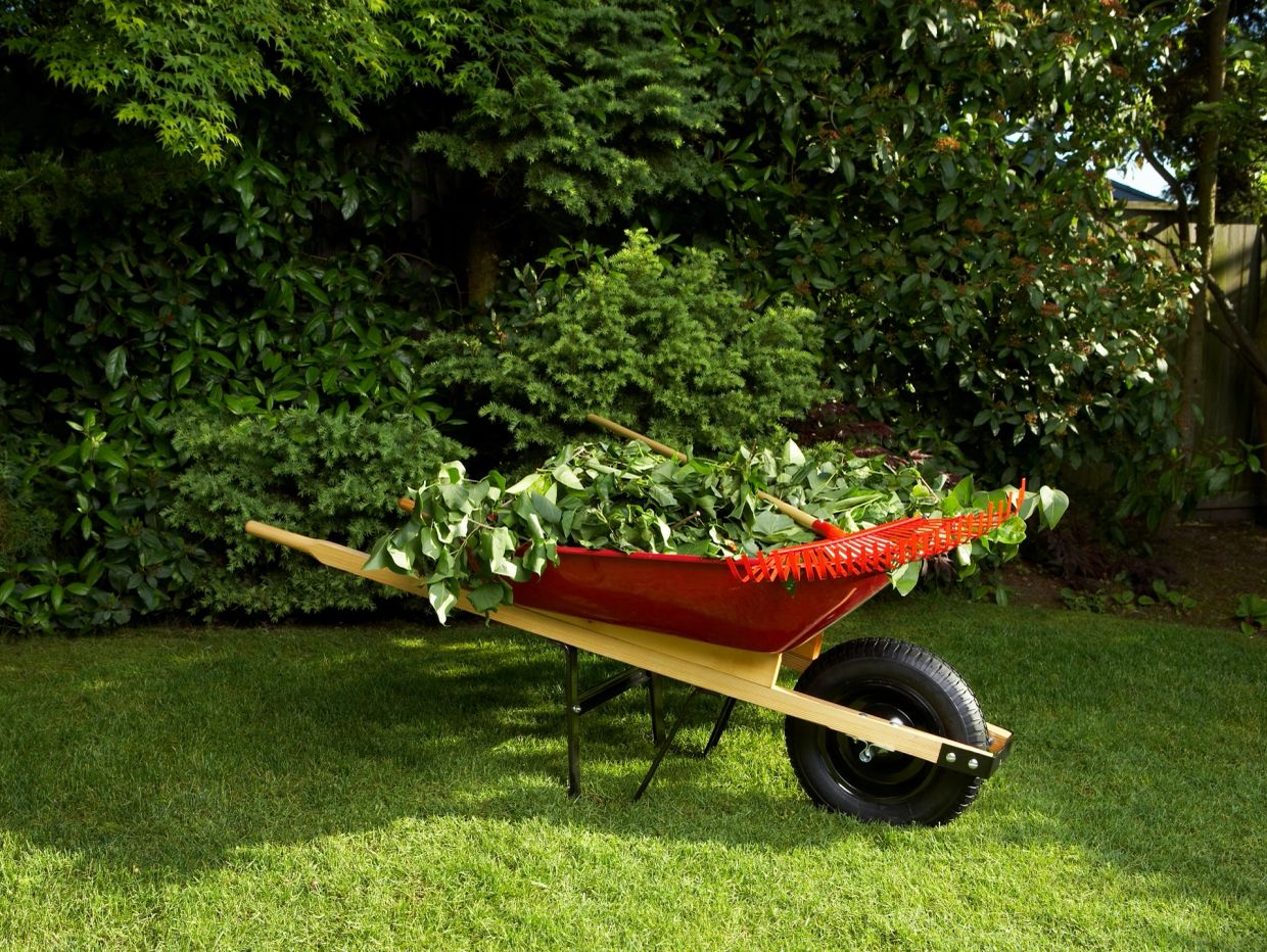 GARDENING - GRASS CUTTING WEEDING, CLEANING, POWER HOSING 