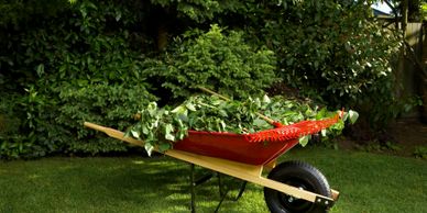 yard clean up with debris and wheelbarrow