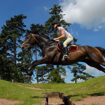 Rider jumps over a ditch on a horse in an outdoor setting.