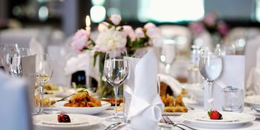 The Debutantes & Gentlemen of Distinction of South Brevard 