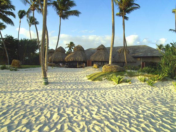 Sunny beach with palm trees and thatched huts under a clear blue sky.