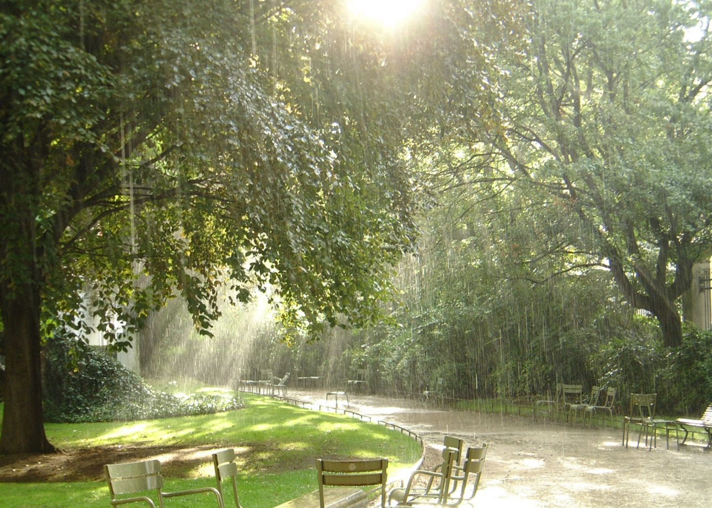 Chairs and trees along a path in the Jardin de Luxembourg, Paris, France