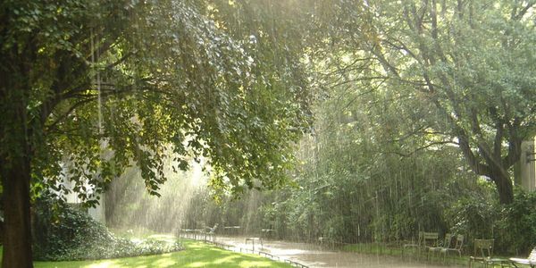 Rain falling in a park