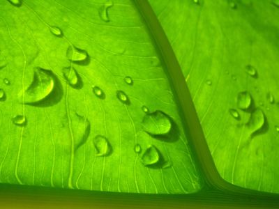 Direito Ambiental
