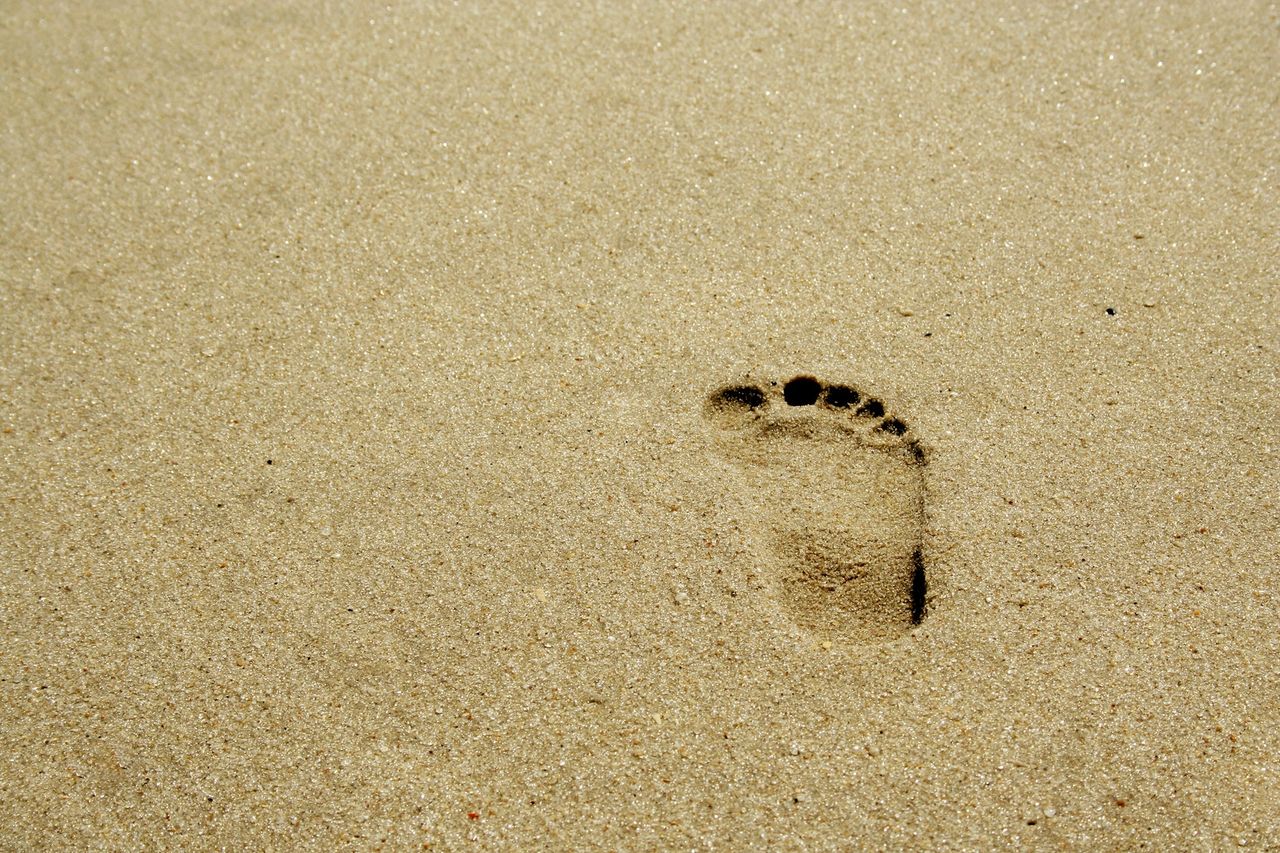 A small footprint in the sand
