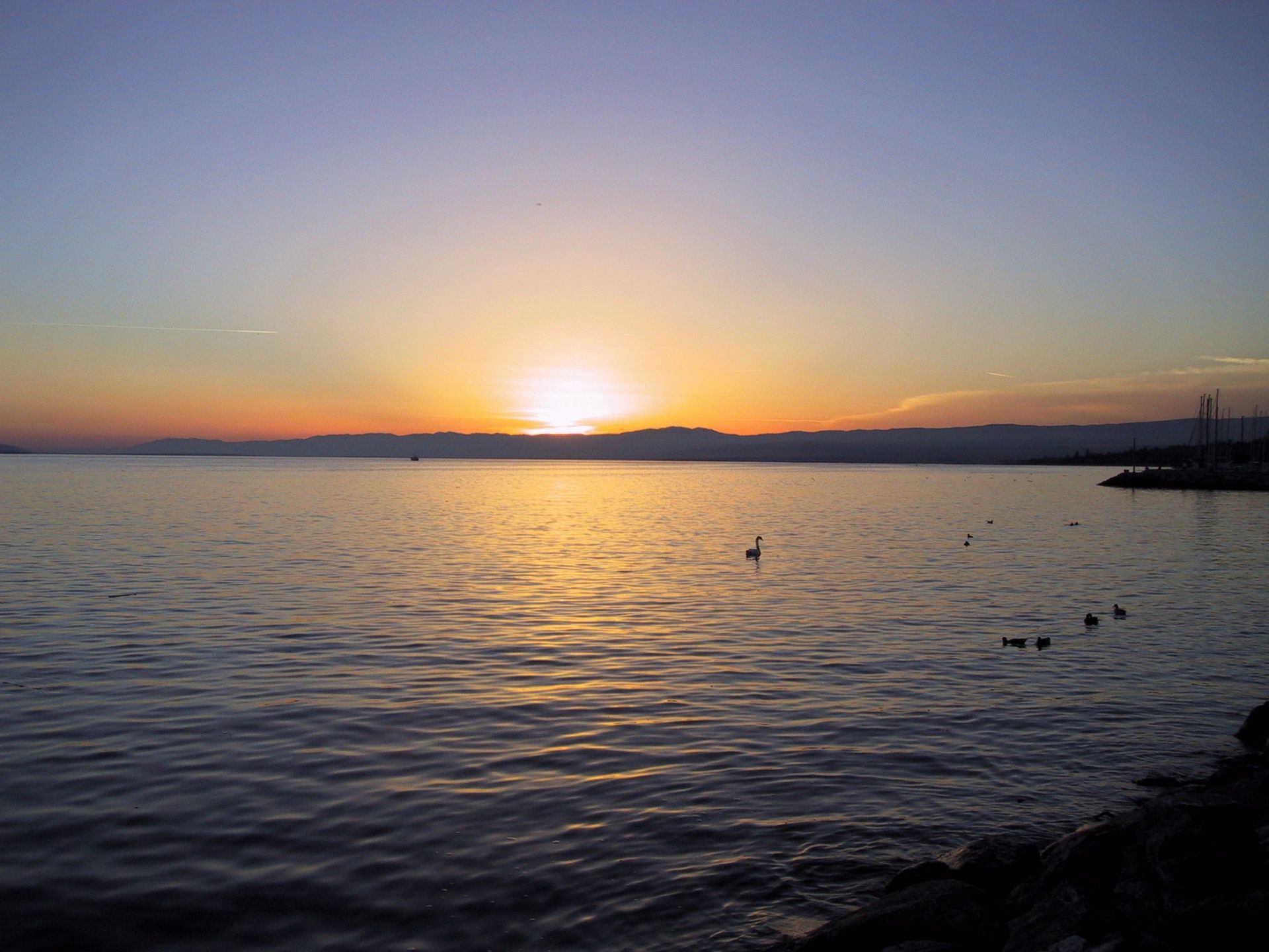 Sunrise Fishing Guide Service Fishing Guide, Lake Murray, South