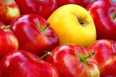 apples
mostly red apples with one green apple
one green apple among red apples
close up of apples