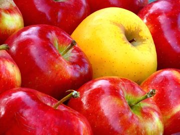 red apples
one green apple
basket of apple
mostly red apples with one green