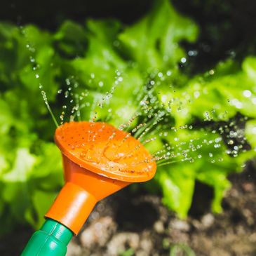 Watering the garden