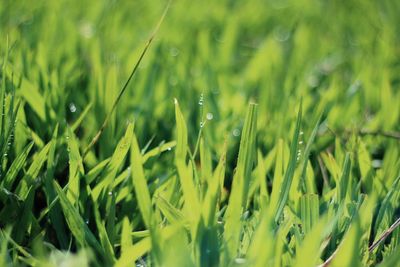 Aeration in Nanaimo