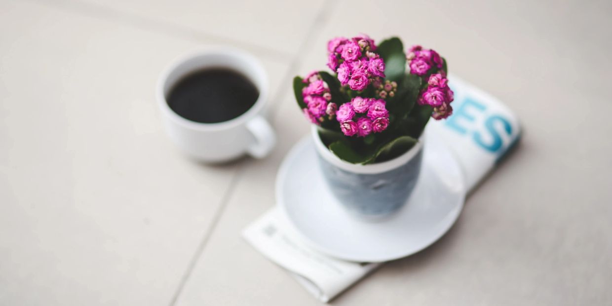 Cup of coffee next to a potted pink flower on a newspaper.