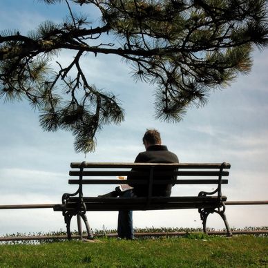 A person sits alone on a bench under tree branches, gazing at the sky.