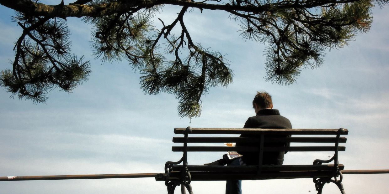 A person sitting alone on a bench under tree branches against a clear sky.