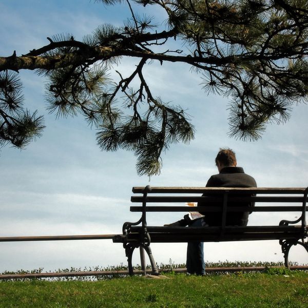 A person sitting alone on a bench under a tree, reading.
