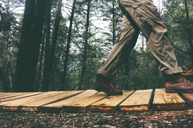 Person walking on a wooden pathway in a forest.