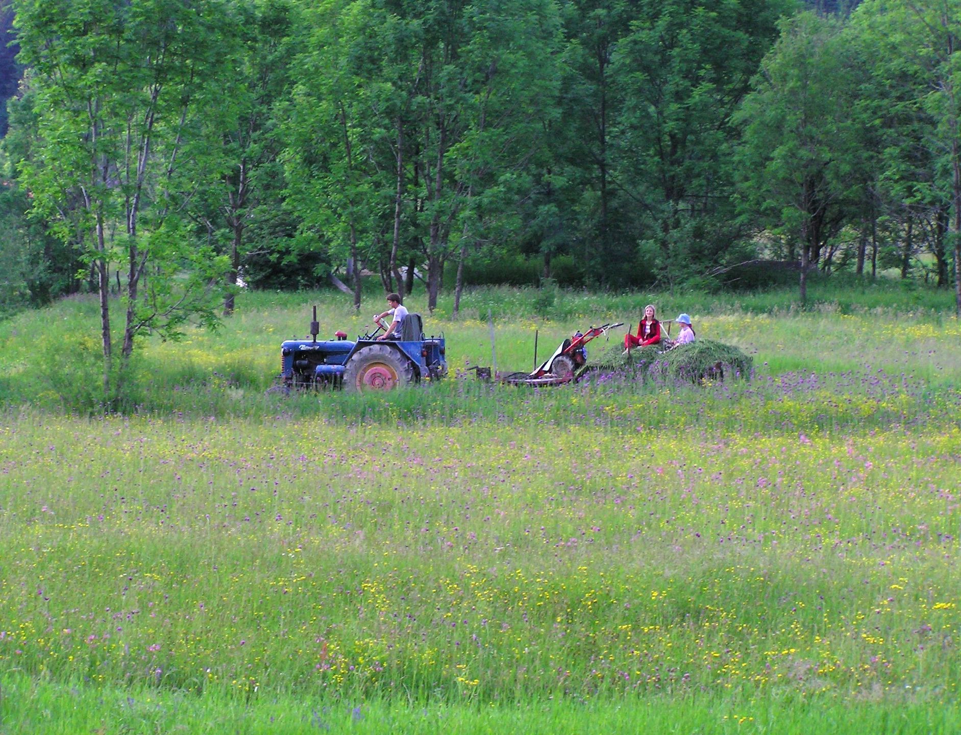 Fillmore Farm