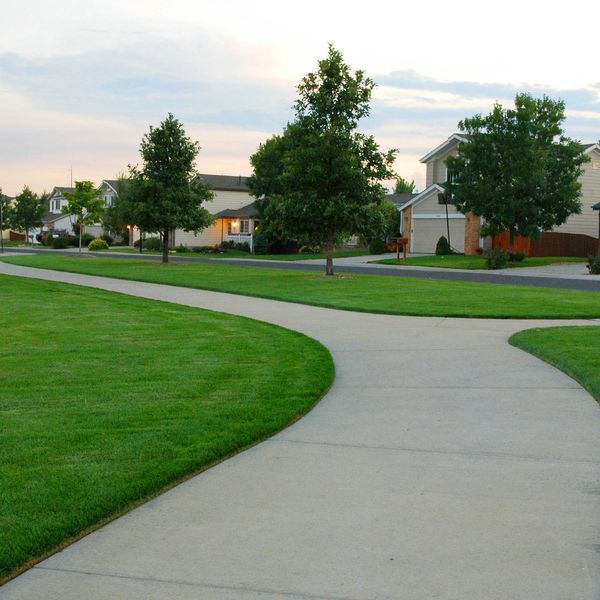 Beautiful lawn and grass sod edging manicured