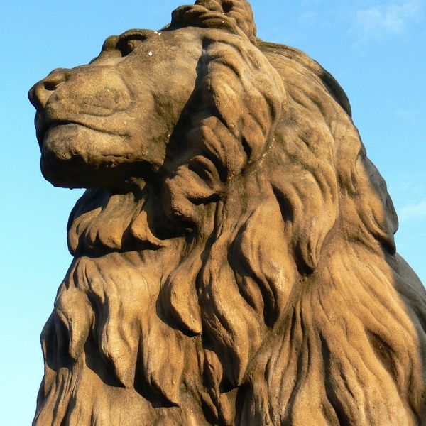 A statue of lion shoqing pride and wisdom
