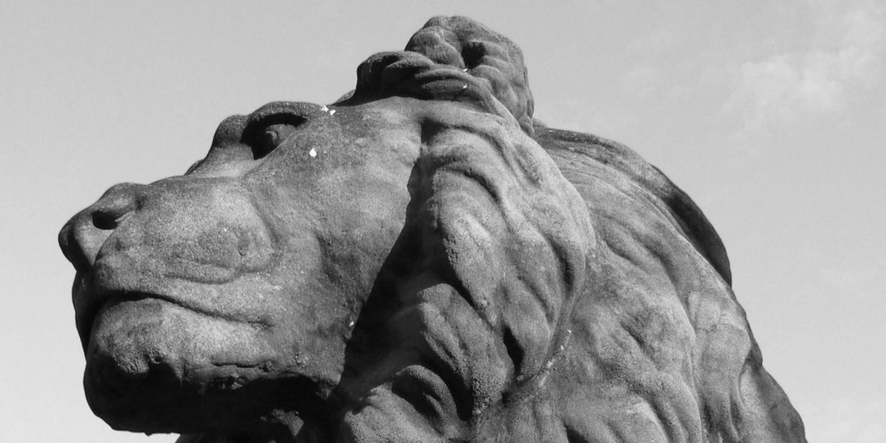 Close-up of a majestic lion statue under a clear blue sky.