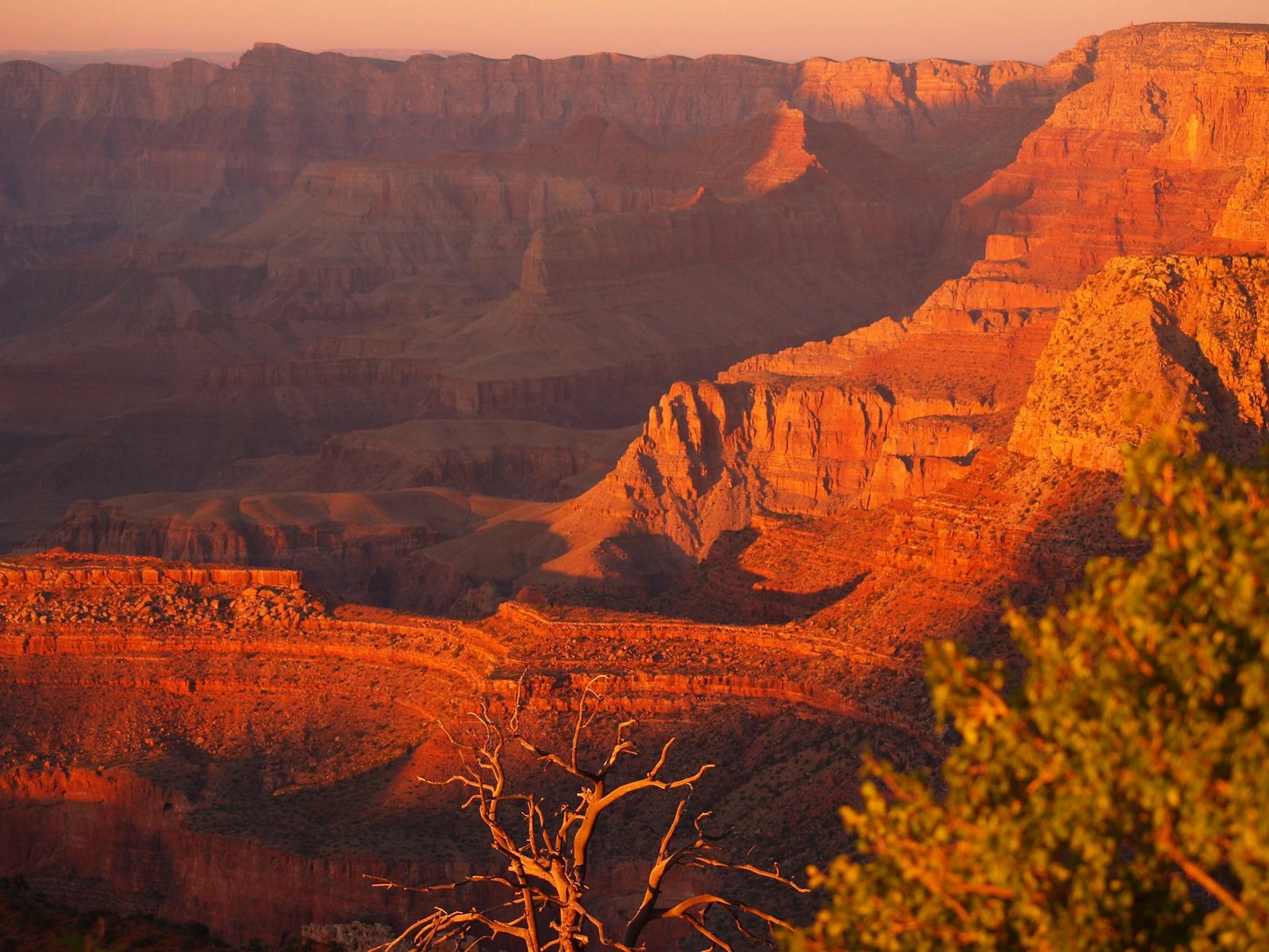 Dumplin Patch Bed & Breakfast Grand Canyon, Bed and Breakfast