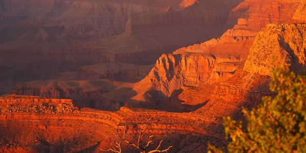 The Grand Canyon, an amazing travel destination you can book online with Smith-Hairston Travel.