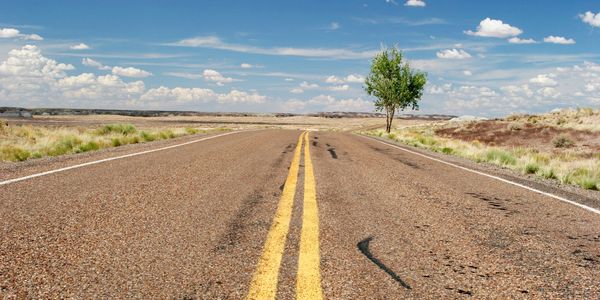 Empty desert road with a single tree under a clear blue sky.